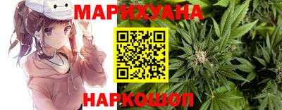spice Ставрополь