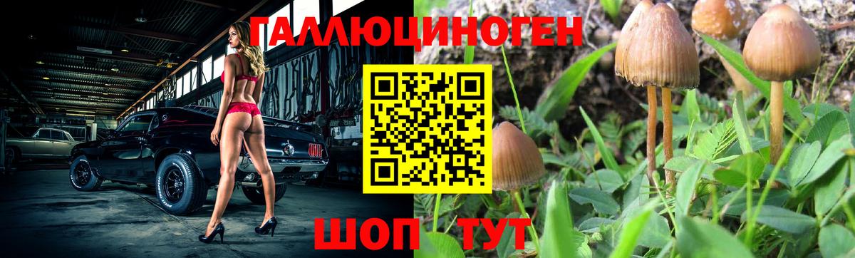 Галлюциногенные грибы мицелий Канск