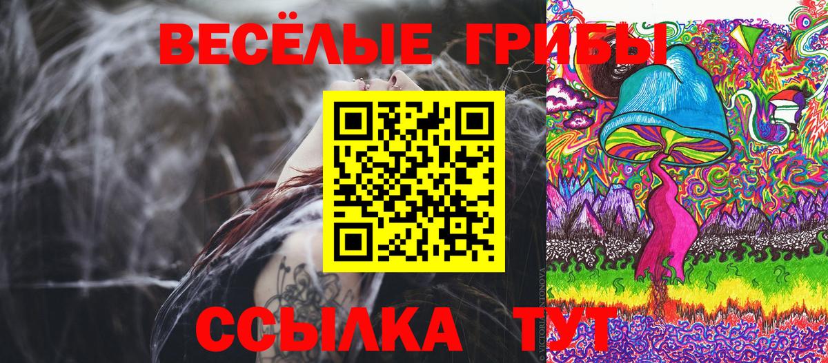 Галлюциногенные грибы Psilocybine cubensis  Вход с VPN  Галлюциногенные грибы Cubensis  Канск 